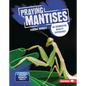 Praying Mantises: An Augmented Reality Experience - Library Binding