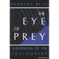Eye of Prey: Subversions of the Postmodern - Paperback