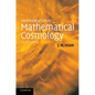 An Introduction to Mathematical Cosmology - Paperback