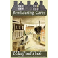 Bewildering Cares - Paperback