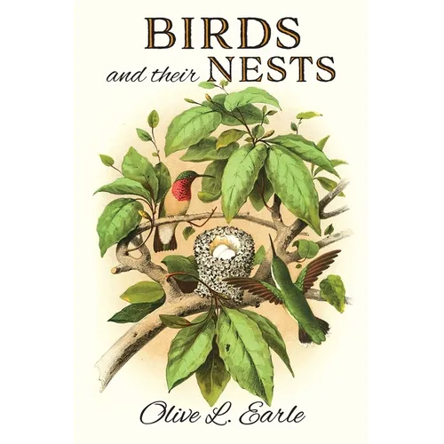 Birds and their Nests - Paperback