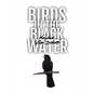 Birds in the Black Water: A Dark, Paranormal Drama - Paperback