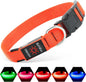 LED Dog Collar Rechargeable Light-Up Safety Collar for Night Walking (colors)