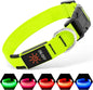 LED Dog Collar Rechargeable Light-Up Safety Collar for Night Walking (colors)