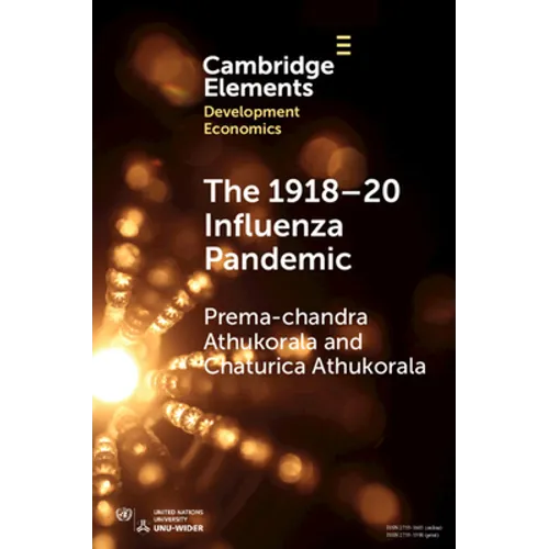 The 1918-20 Influenza Pandemic - Paperback