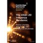 The 1918-20 Influenza Pandemic - Paperback
