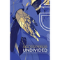 Undivided - Hardcover