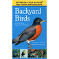 Backyard Birds - Paperback