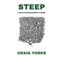 Steep: A Black Neurosurgeon's Journey - Paperback