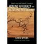 Healing Affluenza and Resisting Plutocracy: Luke's Jesus and Sabbath Economics - Paperback