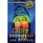 Cady and the Birchbark Box: A Cady Whirlwind Thunder Mystery - Paperback
