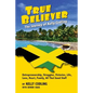 True Believer: The Journey of Kelly Codling - Paperback