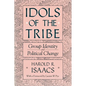 Idols of the Tribe: Group Identity and Political Change - Paperback