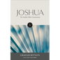 The Hodder Bible Commentary: Joshua - Hardcover