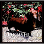 The Dachshund: A Dog for Town and Country - Hardcover