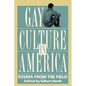 Gay Culture in America: Essays from the Field - Paperback
