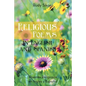 Religious Poems in English and Spanish: Poemas Religiosos en Ingles y Espanol - Paperback