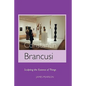 Constantin Brancusi: Sculpting the Essence of Things - Paperback