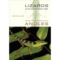 Lizards in an Evolutionary Tree: Ecology and Adaptive Radiation of Anoles Volume 10 - Paperback