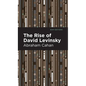 The Rise of David Levinsky - Hardcover
