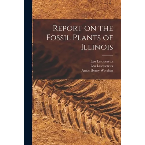 Report on the Fossil Plants of Illinois - Paperback