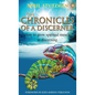 The Chronicles of a Discerner: How to grow spiritual muscle in discerning - Hardcover