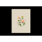 ESV Single Column Journaling Bible (Cloth Over Board, Rosehip Design) - Hardcover