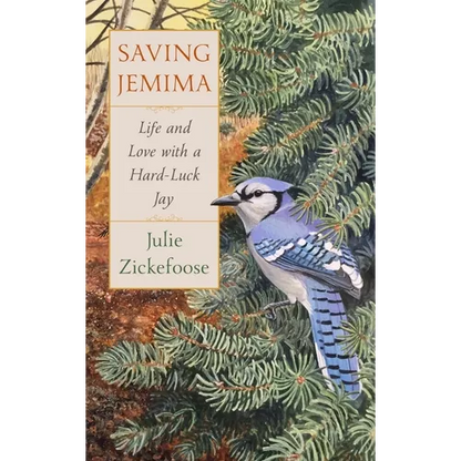 Saving Jemima: Life and Love with a Hard-Luck Jay - Hardcover