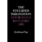 The Educated Imagination - Paperback