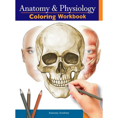 Anatomy and Physiology Coloring Workbook: The Essential College Level Study Guide Perfect Gift for Medical School Students, Nurses and Anyone Interest - Hardcover