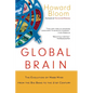 Global Brain: The Evolution of the Mass Mind from the Big Bang to the 21st Century - Paperback