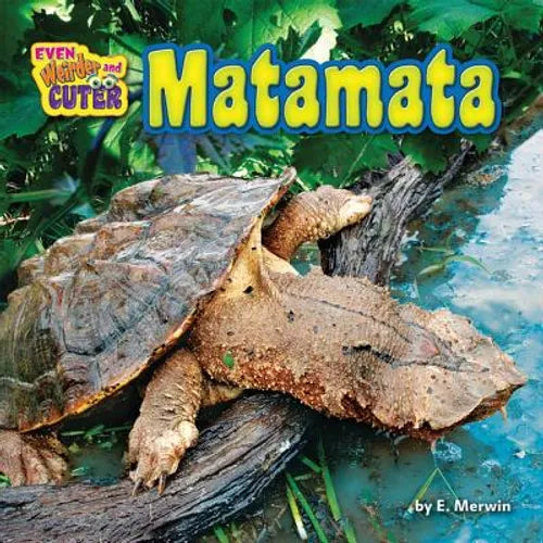 Matamata - Library Binding