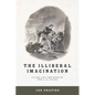 The Illiberal Imagination: Class and the Rise of the U.S. Novel - Paperback