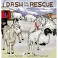 Dash to the Rescue - Hardcover