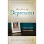 The Face of Depression: A Journey from Hell to Healthy - Paperback
