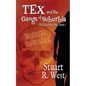 Tex and the Gangs of Suburbia - Paperback