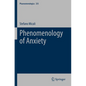 Phenomenology of Anxiety - Paperback