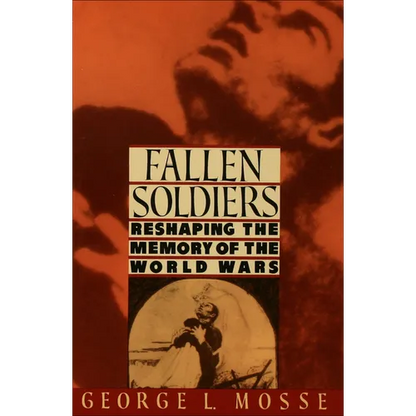 Fallen Soldiers: Reshaping the Memory of the World Wars - Paperback