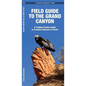 Field Guide to the Grand Canyon: A Folding Pocket Guide to Familiar Plants & Animals - Paperback