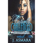 Virtually Challenged: An Escort's Story - Paperback