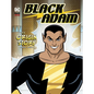 Black Adam: An Origin Story - Hardcover