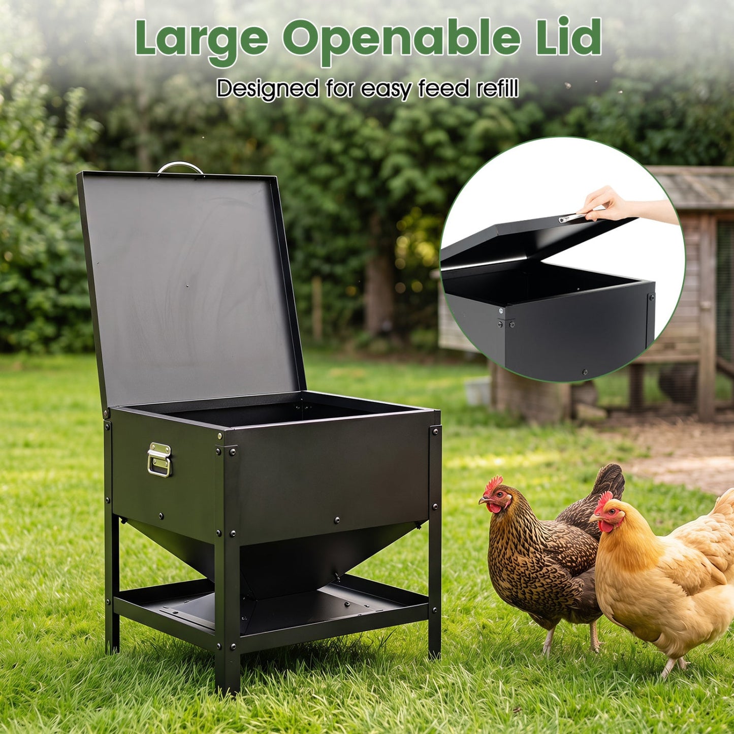 Large Capacity Chicken Feeder with Openable Lid