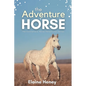 The Adventure Horse - Book 5 in the Connemara Horse Adventure Series for Kids - Paperback