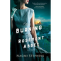 The Burning of Rosemont Abbey - Paperback