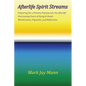 AFTERLIFE SPIRIT STREAMS - Preparing for a Positive Passing Into the Afterlife. Overcoming Fears of Dying and Death. Wordstreams, Vignettes and Reflec - Paperback