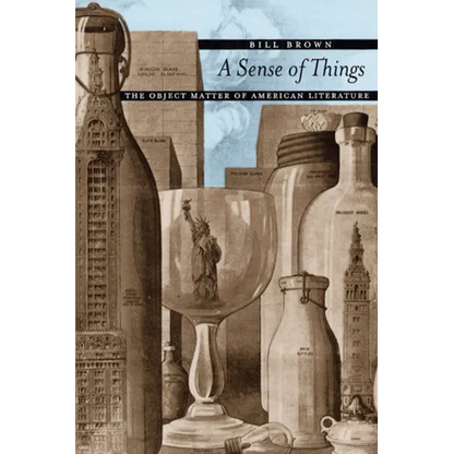 A Sense of Things: The Object Matter of American Literature - Paperback