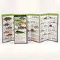 Fishes of the Florida Keys