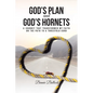 God's Plan and God's Hornets: A Journey That Transformed My Faith on the Path to a Threefold Cord - Paperback