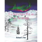 La Aventura Polar de Aurora - Paperback