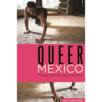 Queer Mexico: Cinema and Television Since 2000 - Paperback